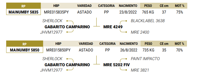 Lote LOTE 30
