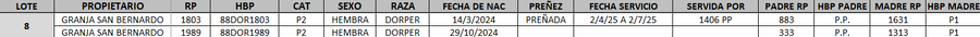 Lote LOTE 8