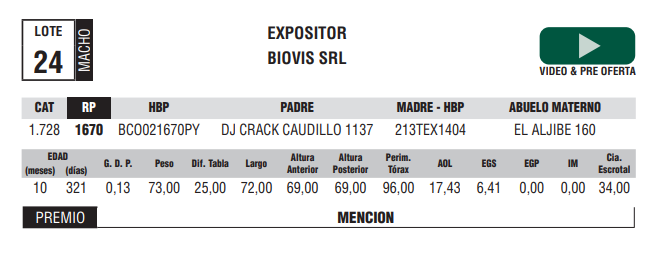 Lote LOTE 24