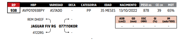 Lote LOTE 69