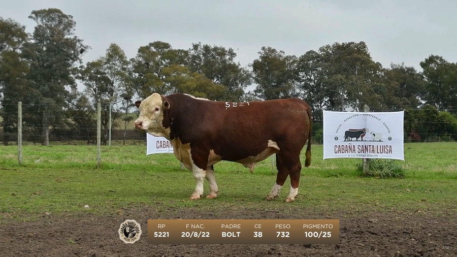 Lote Lote 1 Hereford - Santa Luisa