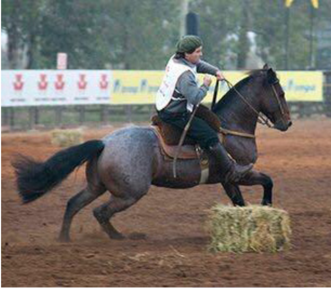 Lote BALAÇO 08 MOTOLÂNDIA