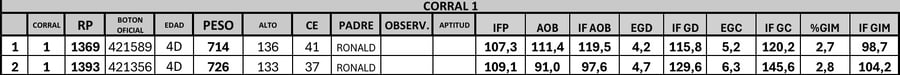 Lote 2 Toros PC