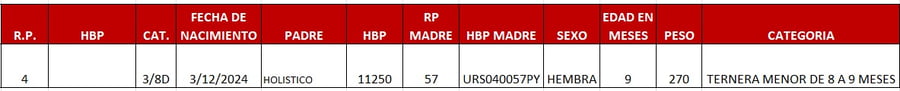 Lote LOTE 62