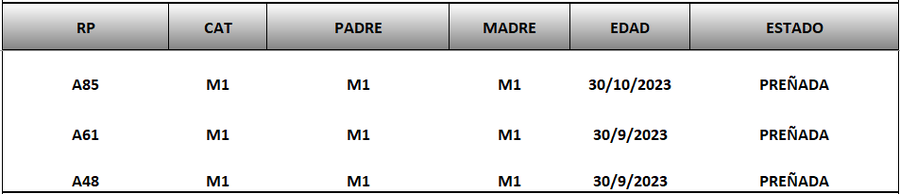 Lote LOTE 47
