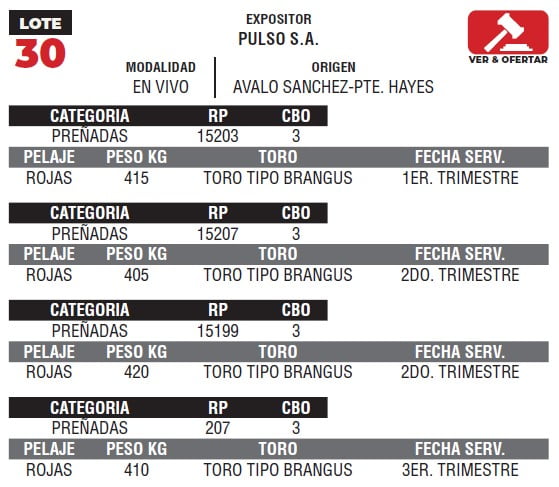 Lote LOTE 30- EN VIVO