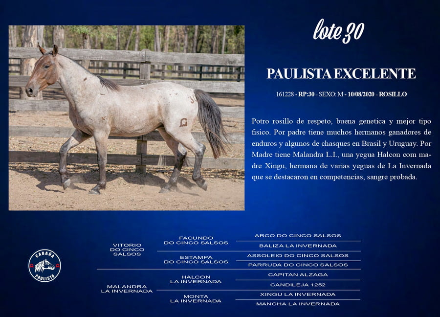 Lote Paulista Excelente