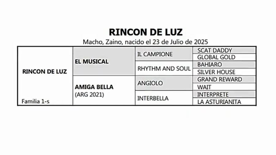 Lote RINCON DE LUZ