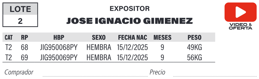 Lote LOTE 2