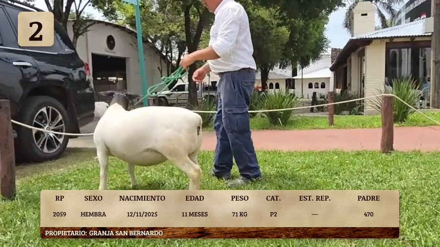 Lote LOTE 2