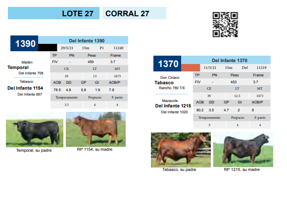 Lote CORRAL 27