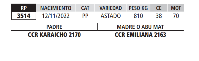 Lote LOTE 32