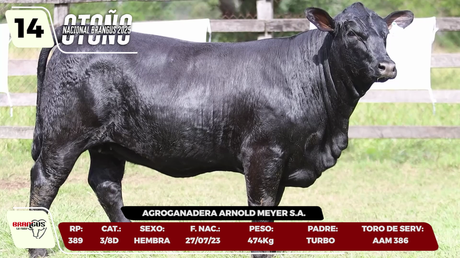 Lote LOTE 14