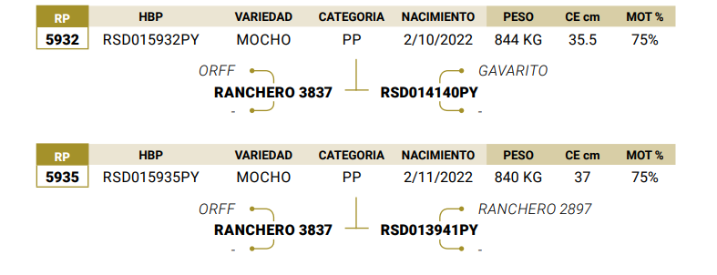 Lote LOTE 21