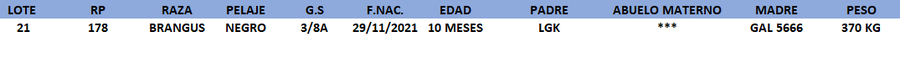 Lote LOTE 21
