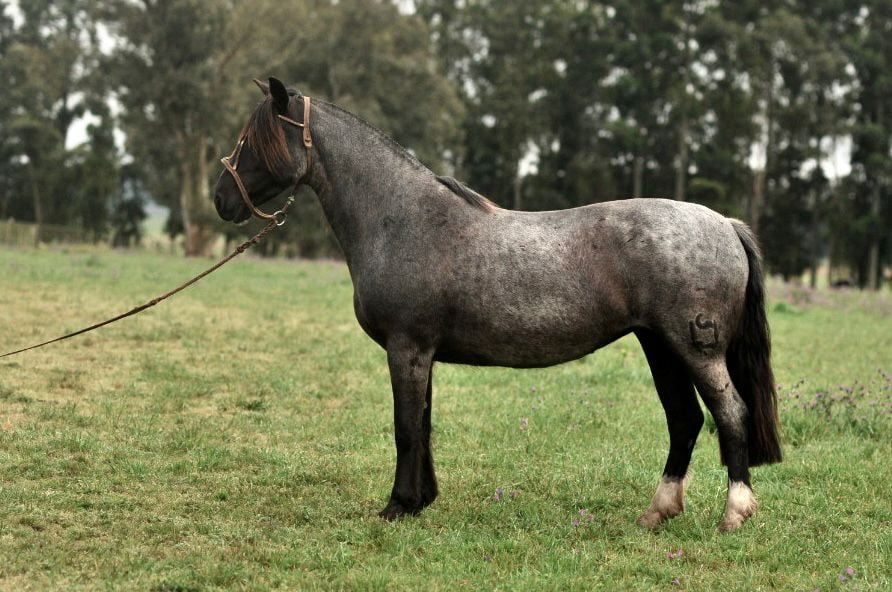 Lote Cañada Luna Vieja (RP 395) Cabaña "La Cañada"