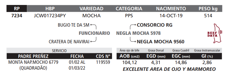 Lote LOTE 12