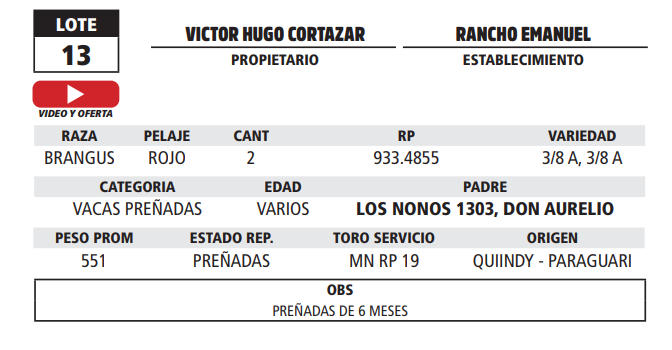 Lote LOTE 13 - POR PANTALLA