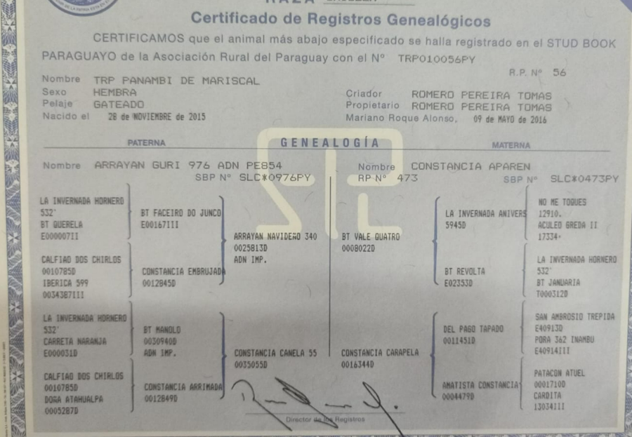 Lote LOTE 13 - DE CAMPO