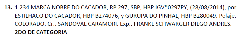Lote LOTE 13