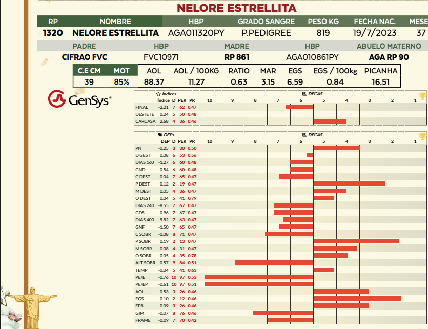 Lote LOTE 19