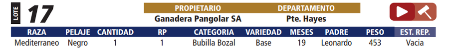 Lote LOTE 17