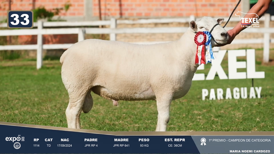 Lote LOTE 33