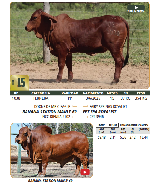 Lote LOTE 15