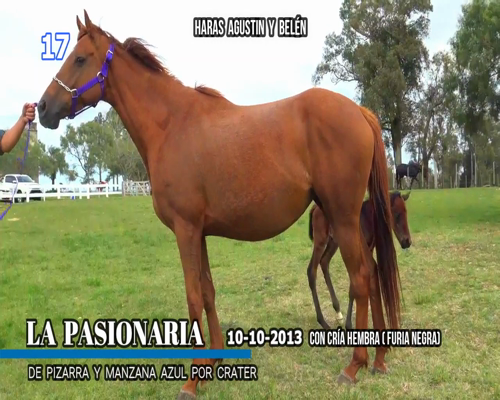 Lote LA PASIONARIA