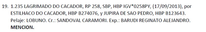 Lote LOTE 19