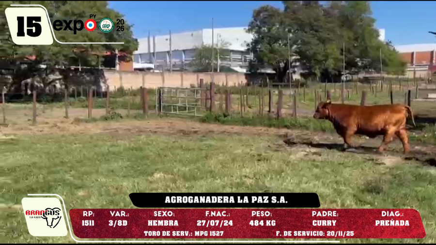Lote LOTE 15