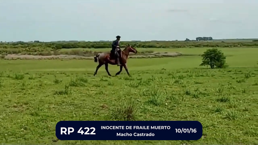 Lote INOCENTE DE FRAILE MUERTO