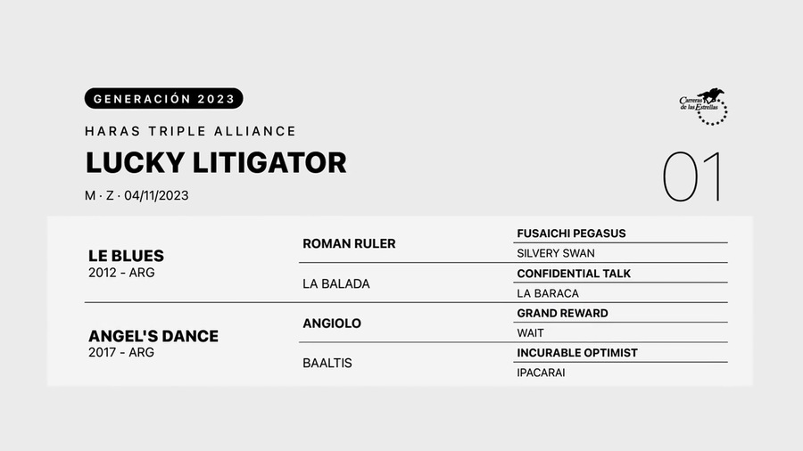 Lote LUCKY LITIGATOR