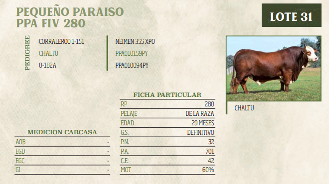 Lote LOTE 31