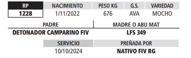 Lote LOTE 28