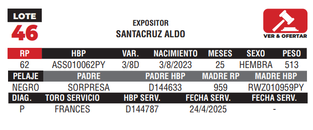 Lote LOTE 46 - CAMPO