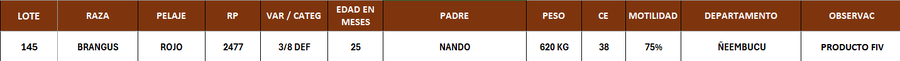 Lote LOTE 145