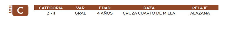 Lote LOTE C
