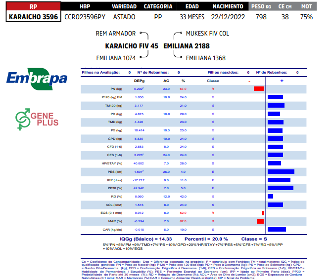 Lote LOTE 11