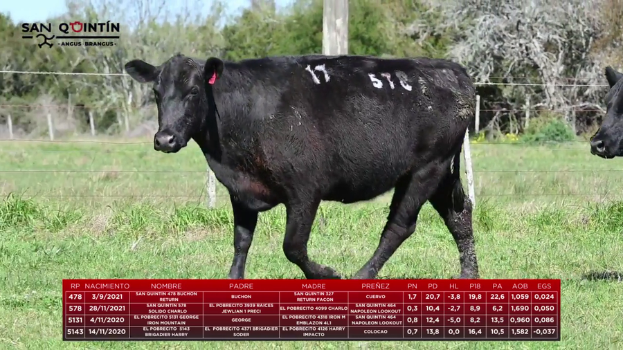 Lote LOTE 17 - VIENTRES PREÑADOS ABERDEEN ANGUS PI