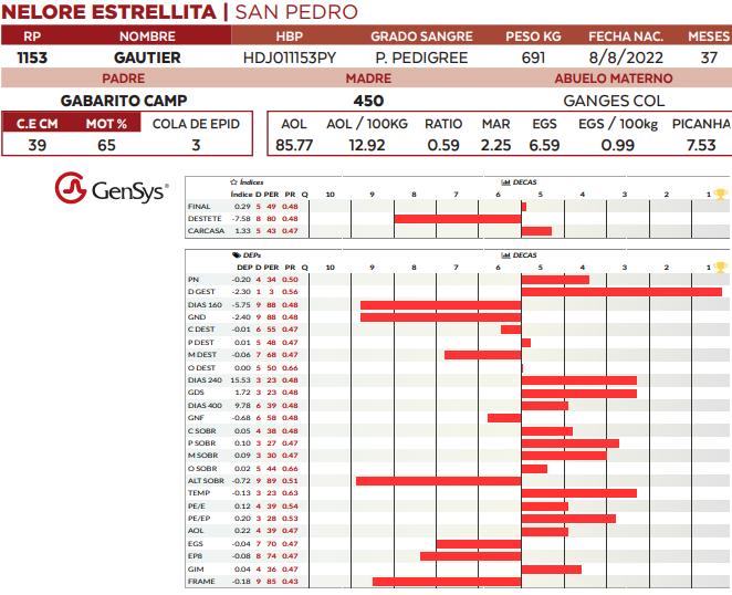 Lote LOTE 58