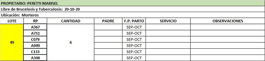 Lote Vaquillonas preñadas