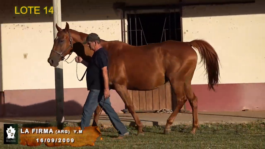 Lote Poné La Firma (Arg)