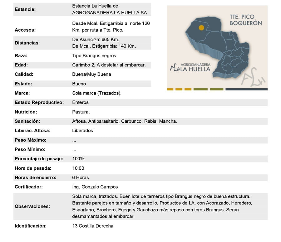 Lote Lote 17