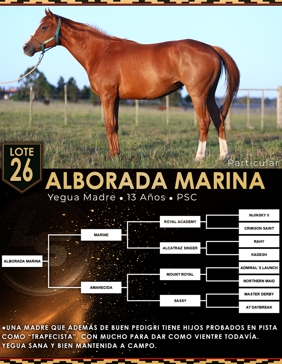 Lote ALBORADA MARINA