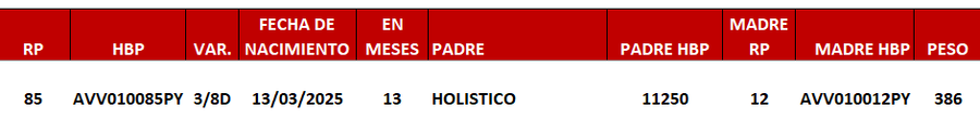 Lote LOTE 18 -DE JUNIOR