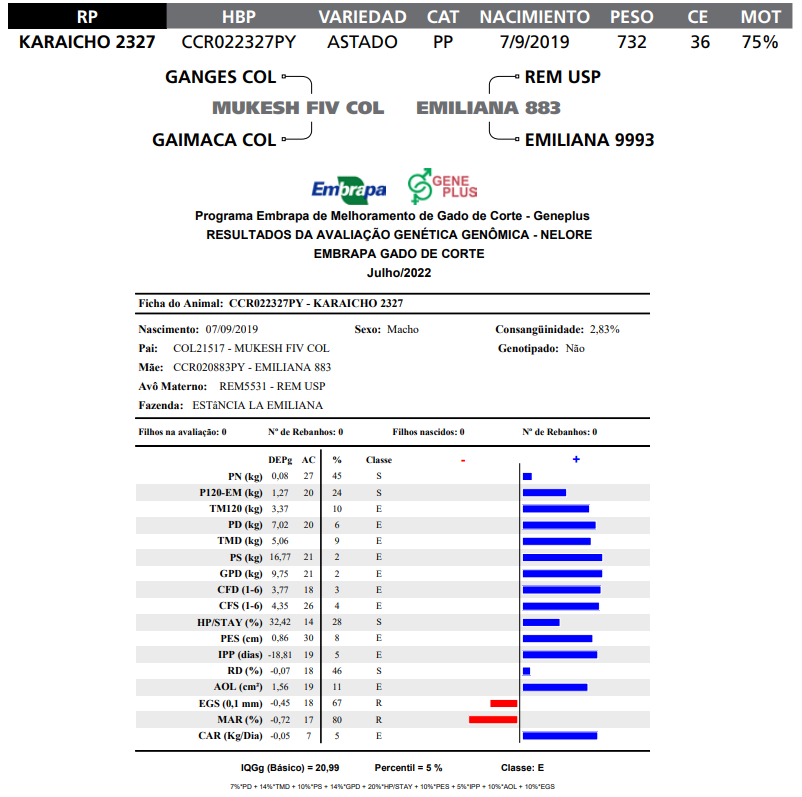 Lote LOTE   84 -RP K2327