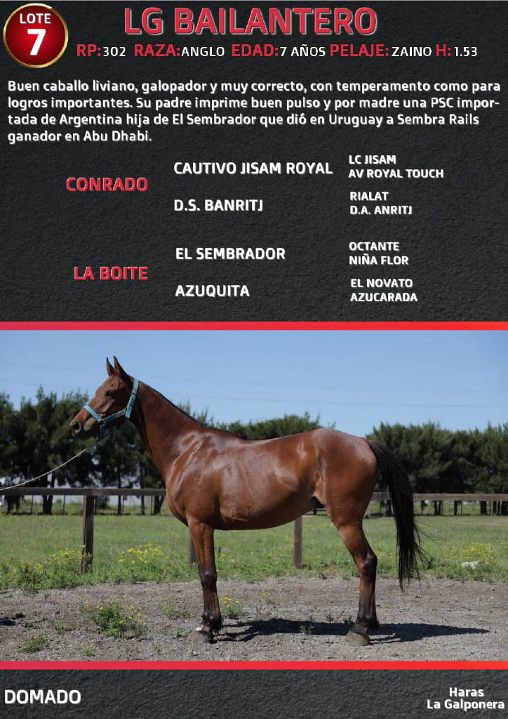 Lote LG BAILANTERO
