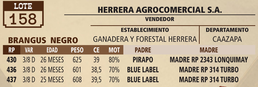 Lote LOTE 158 - VIVO