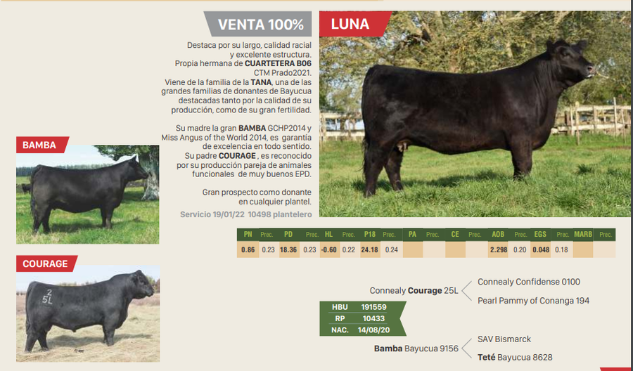 Lote LUNA